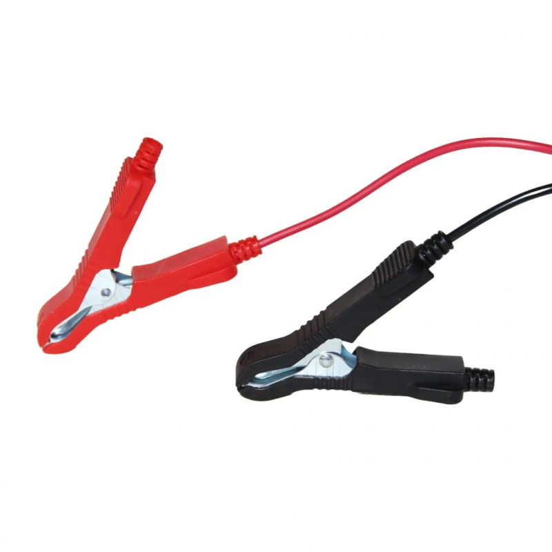 Інверторний зарядний пристрій Rebiner RCD-12/24V